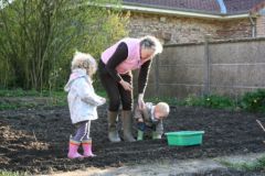 La plantation des échalotes, avr. 2012 La plantation des échalotes
