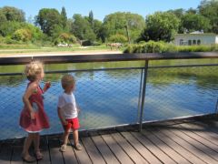 Au zoo de la Tête d'Or, août 2012 Au zoo de la Tête d'Or