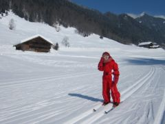 Le ski, fév. 2013 Le ski