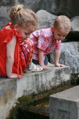 Parc Chabrières, juin 2013 Parc Chabrières